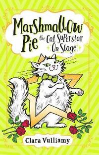 bokomslag Marshmallow Pie The Cat Superstar On Stage