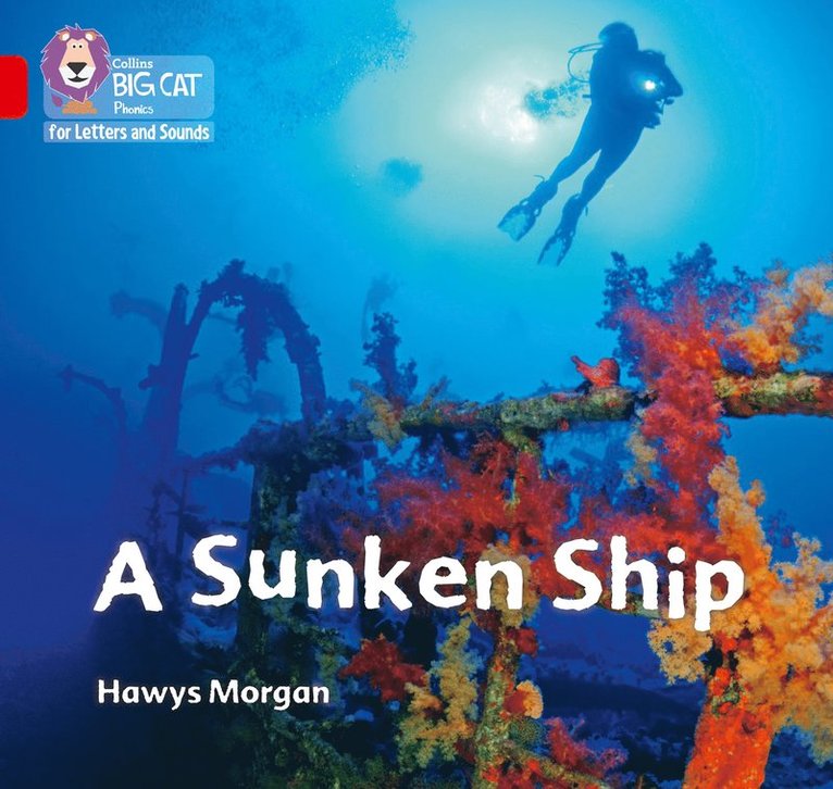 A Sunken Ship 1