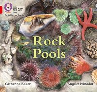 bokomslag Rock Pools