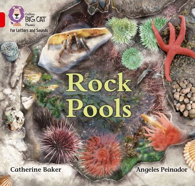 Catherine Baker - Rock Pools, Häftad