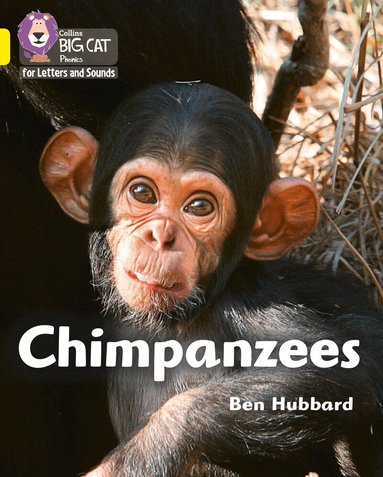 Ben Hubbard - Chimpanzees, Häftad