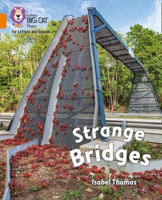 Strange Bridges 1