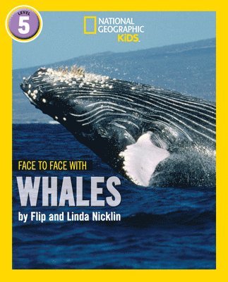 Face to Face with Whales 1