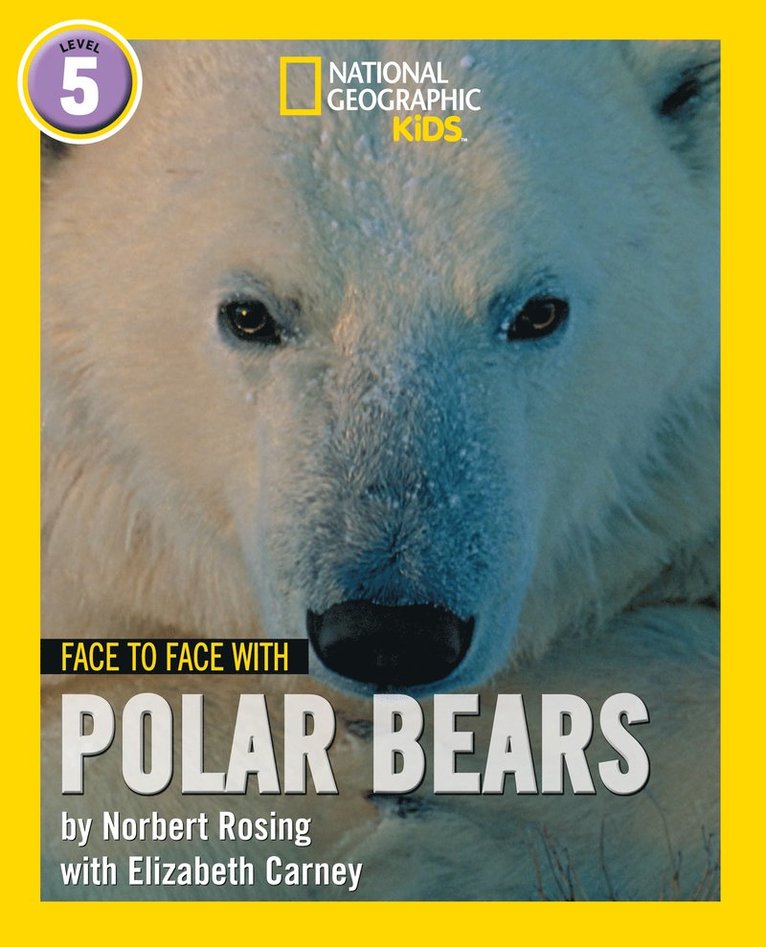 Face to Face with Polar Bears