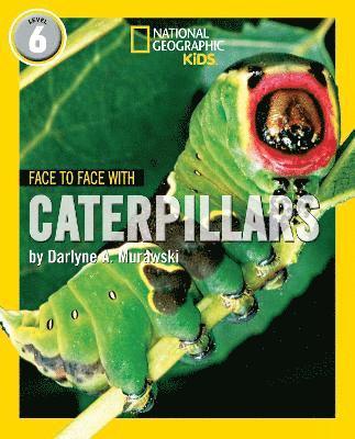 bokomslag Face to Face with Caterpillars