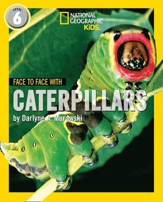 bokomslag Face to Face with Caterpillars