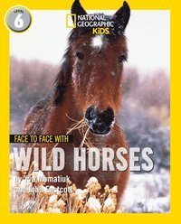 bokomslag Face to Face with Wild Horses