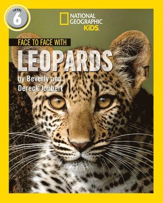 Face to Face with Leopards 1