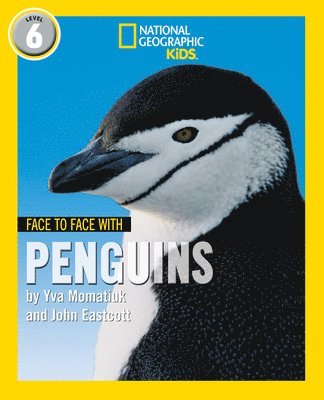 Face to Face with Penguins 1