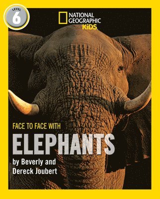 Face to Face with Elephants 1