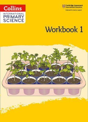 bokomslag International Primary Science Workbook: Stage 1