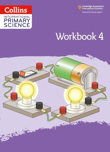 bokomslag International Primary Science Workbook: Stage 4