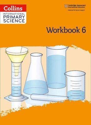 bokomslag International Primary Science Workbook: Stage 6