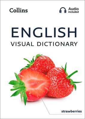 bokomslag English Visual Dictionary