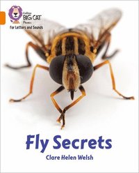 bokomslag Fly Secrets