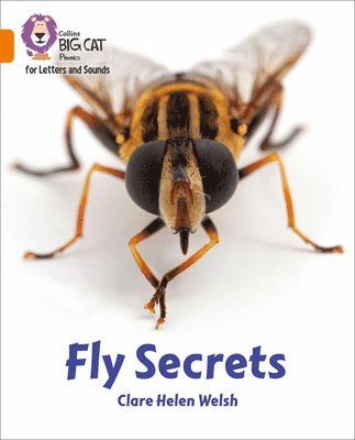 Fly Secrets 1