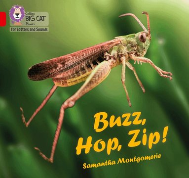 Samantha Montgomerie - Buzz, Hop, Zip!, Häftad