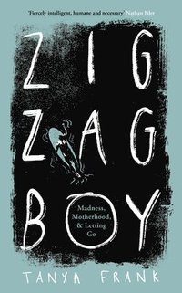 bokomslag Zig-Zag Boy