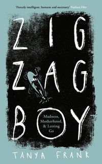 bokomslag Zig-Zag Boy