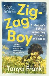 bokomslag Zig-Zag Boy