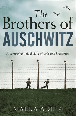 bokomslag Brothers of Auschwitz