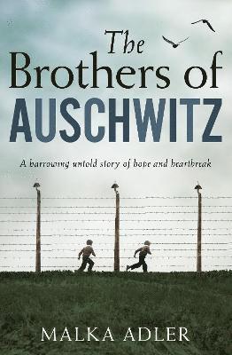 bokomslag The Brothers of Auschwitz