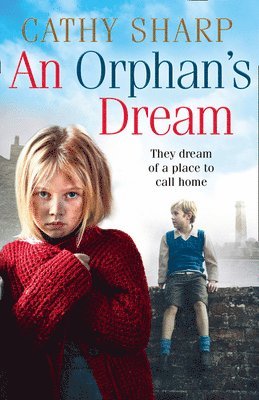 bokomslag An Orphans Dream