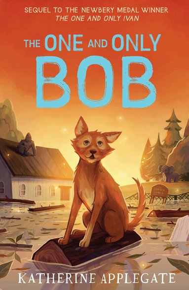 Katherine Applegate - One and Only Bob, Häftad