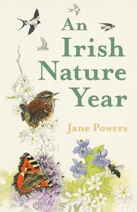 bokomslag An Irish Nature Year