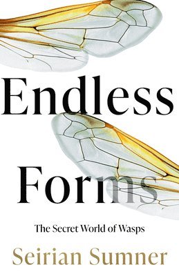 Endless Forms 1