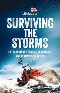 bokomslag Surviving the Storms