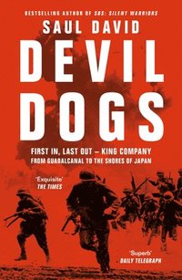 bokomslag Devil Dogs