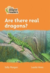 bokomslag Are there real dragons?