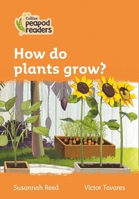 bokomslag How do plants grow?