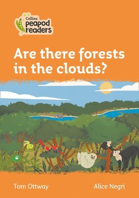 Are there forests in the clouds? 1
