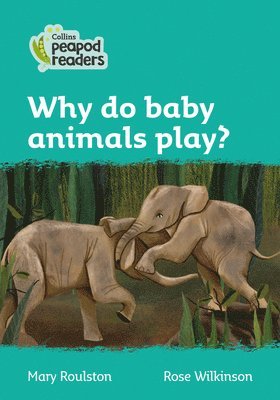 Why do baby animals play?