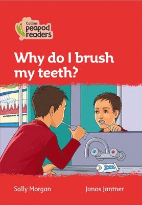 bokomslag Why do I brush my teeth?