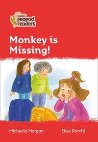 bokomslag Monkey is Missing!