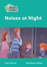 bokomslag Noises at Night