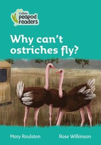 bokomslag Why can't ostriches fly?