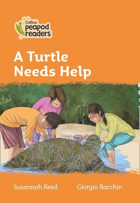 A Turtle Needs Help 1