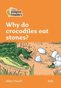 bokomslag Why do crocodiles eat stones?