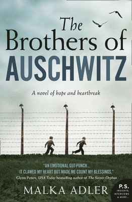 bokomslag Brothers Of Auschwitz