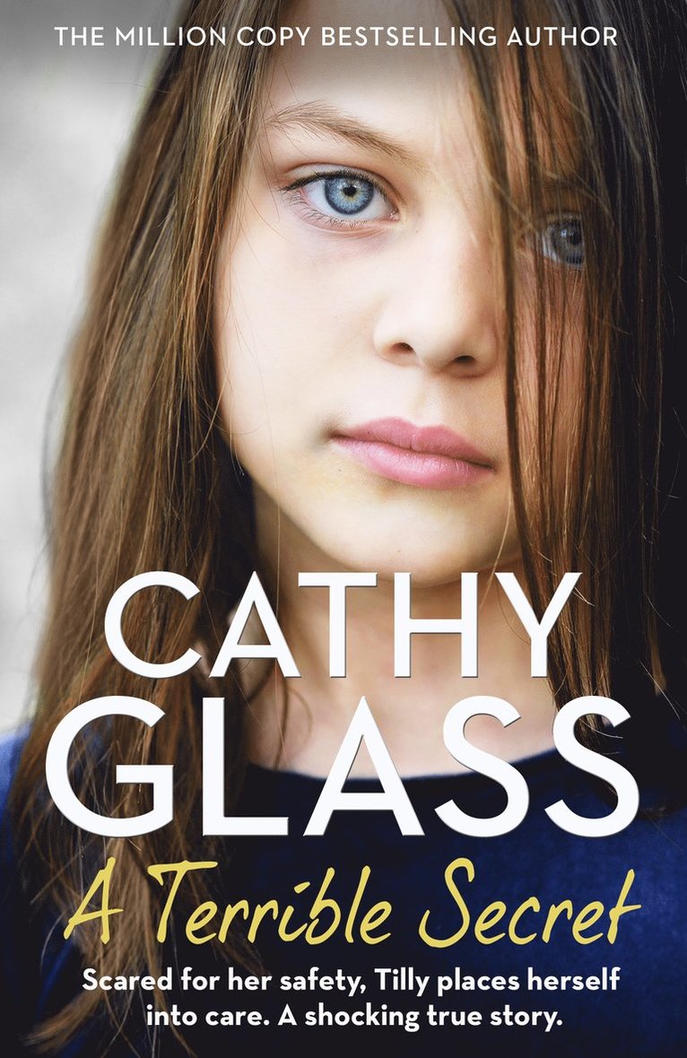 Cathy Glass - Terrible Secret, Häftad