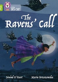 bokomslag Ravens' Call