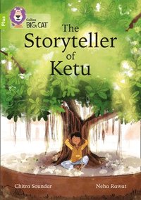 bokomslag The Storyteller of Ketu