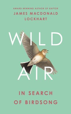 Wild Air 1