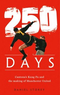 bokomslag 250 Days