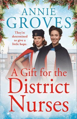 bokomslag Gift for the District Nurses