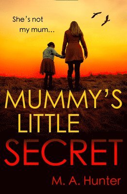 bokomslag Mummy's Little Secret